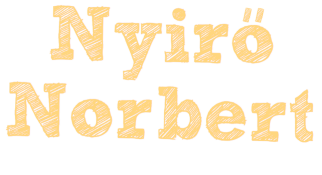 Nyirő Norbert gépjárművezető szakoktató